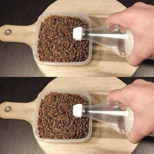 A Simple Kitchen Hack: Vinegar and Cloves ‎‎