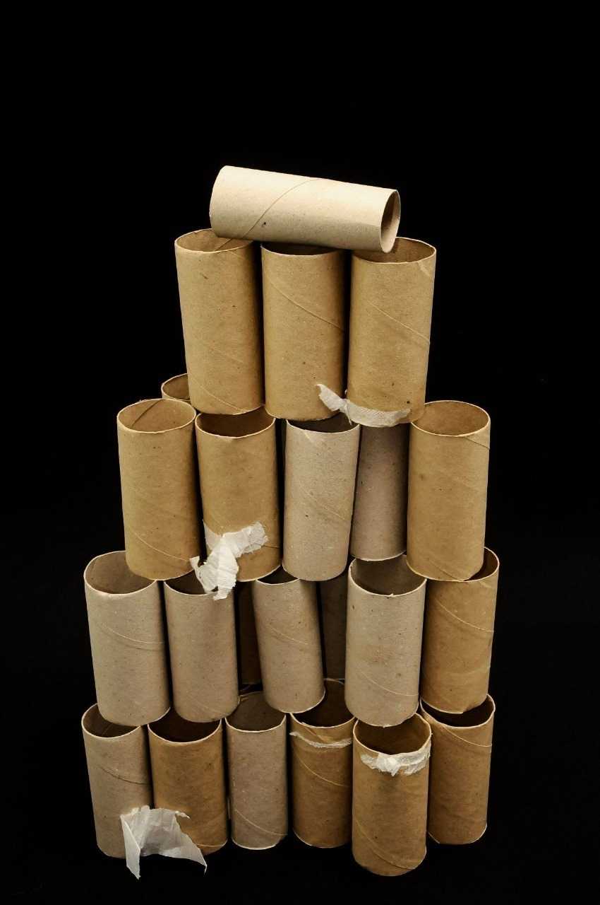 14 Creative Ways to Recycle Toilet Paper Rolls in Your Garden..