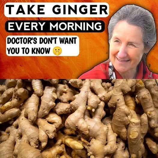 Discover the Health Benefits of Ginger: Your Natural Secret to Wellness