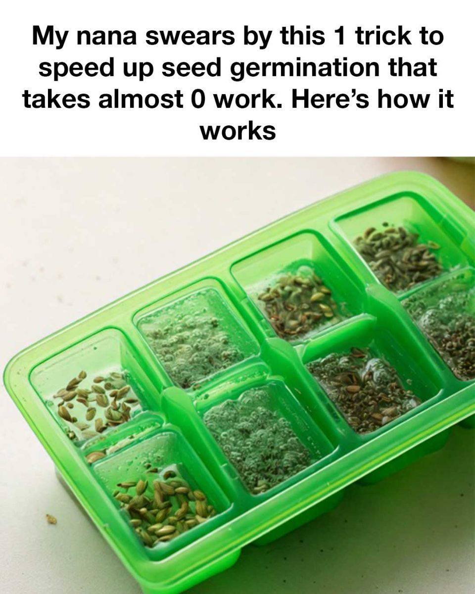 That completely flew under my radar