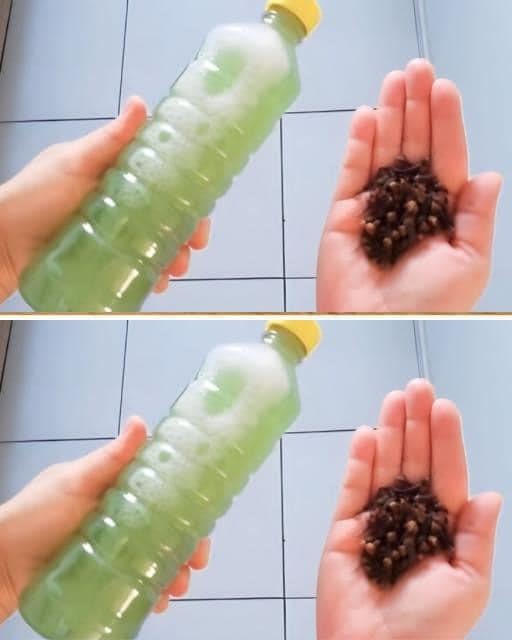 Effective Strategies to Prevent Your Dog from Urinating Indoors