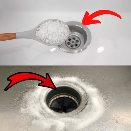 The Simple Salt Trick Plumbers Don’t Want You to Know