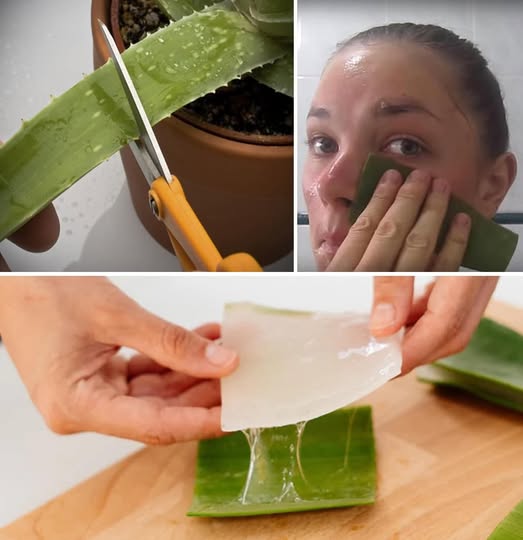 Rub some aloe vera on your face and see what happens 15 minutes later