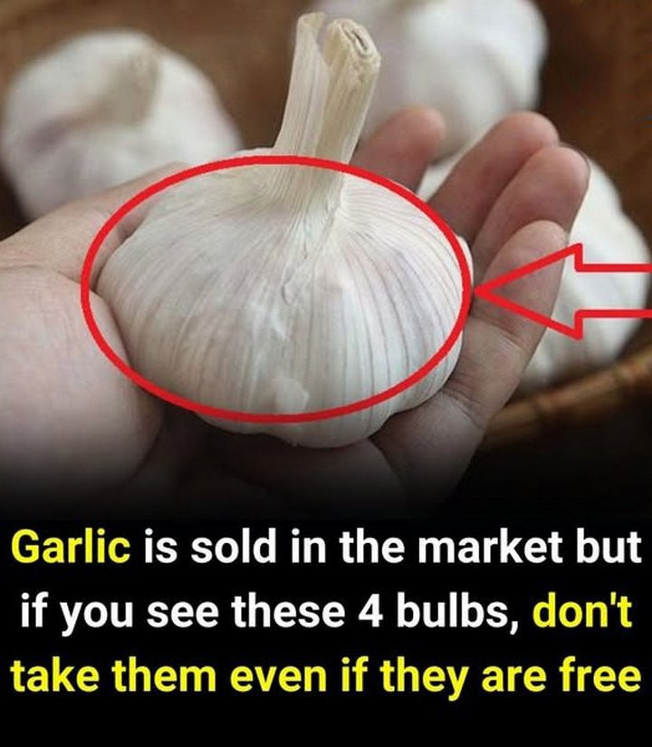 Even If They Are Given for Free, You Shouldn’t Take Them: A Recipe for Wise Boundaries