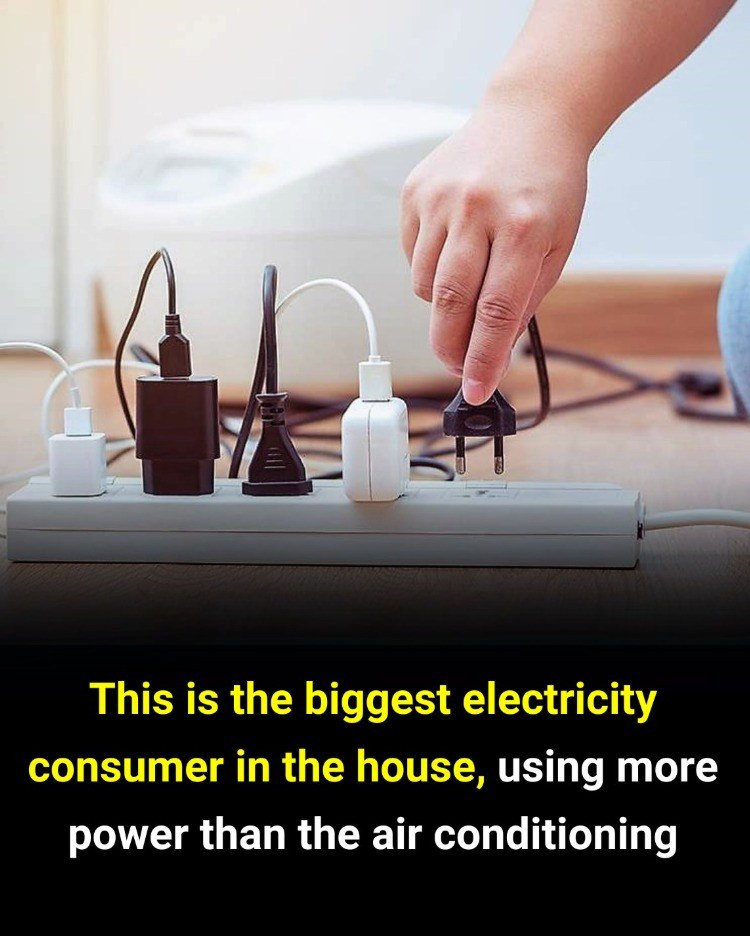 Turns out this is what costs us more electricity than anything else