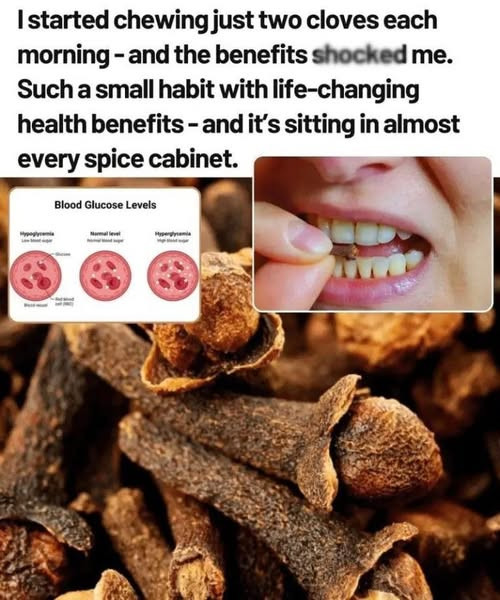 Cloves for Vitality After 50: Unlocking Their Health Benefits and Safe Usage