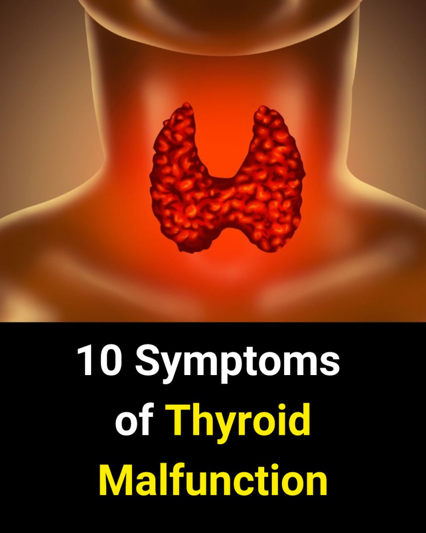 10 Symptoms of Thyroid Malfunction