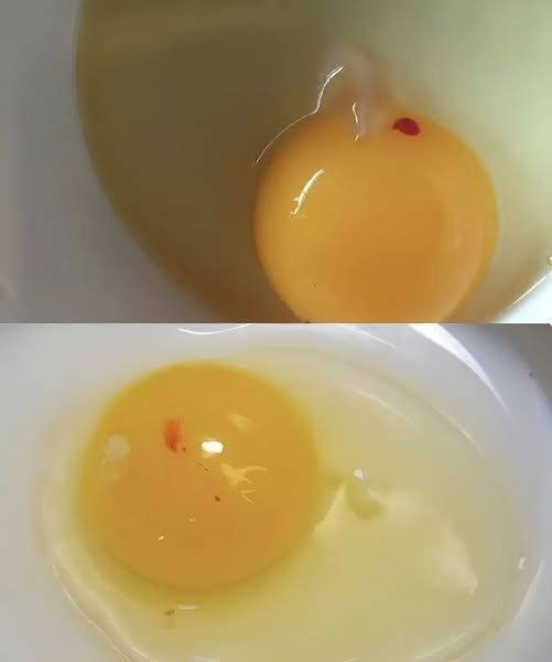 Red Spot on Raw Egg: What Is It and Can You Eat It?
