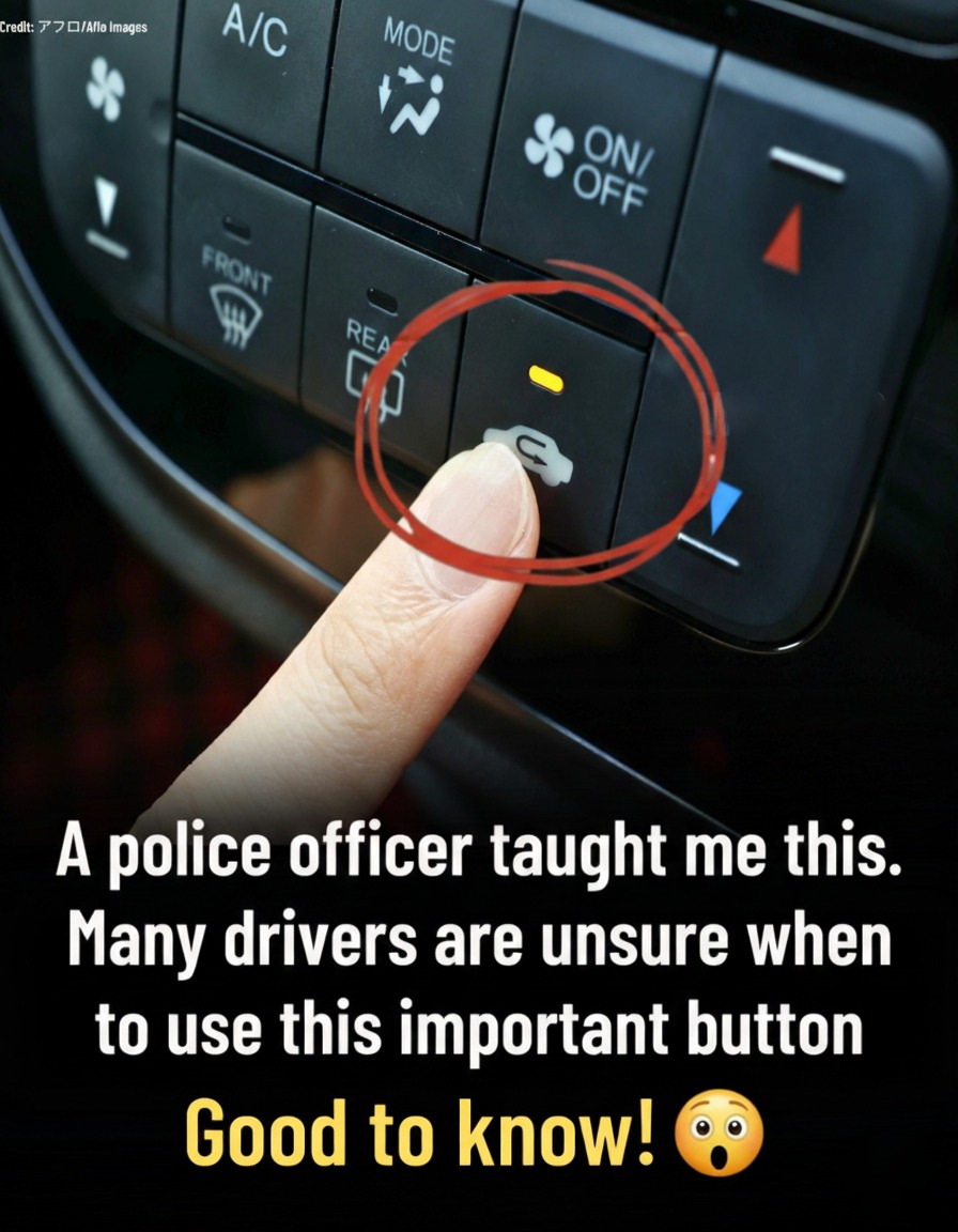 The Hidden Power of the Air Recirculation Button in Your Car