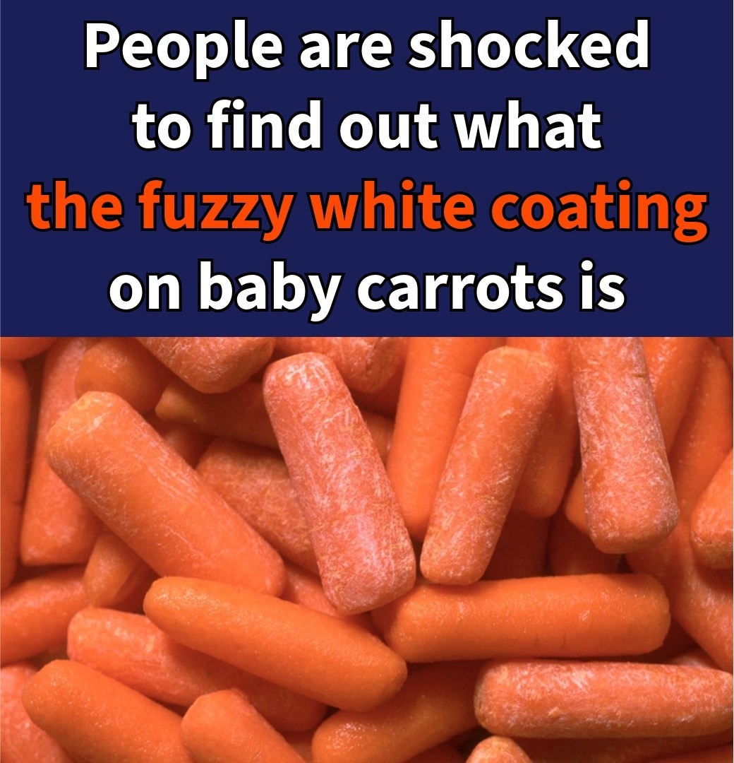What The Fuzzy White Coating On Baby Carrots Is