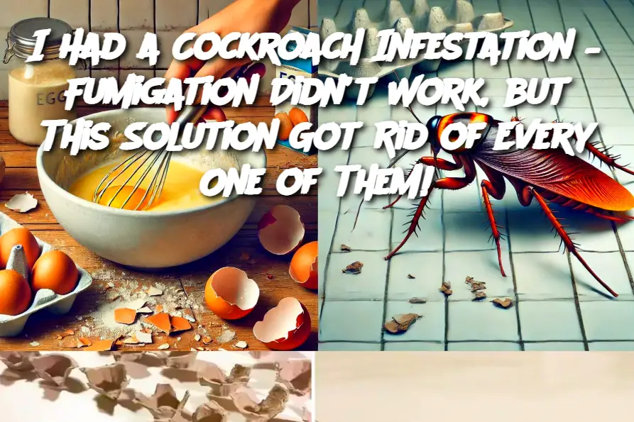 I Had a Cockroach Infestation – Fumigation Didn’t Work, but This Solution Got Rid of Every One of Them!